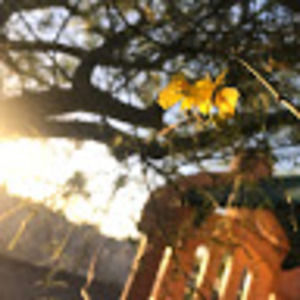 Meet your Posher, Celina